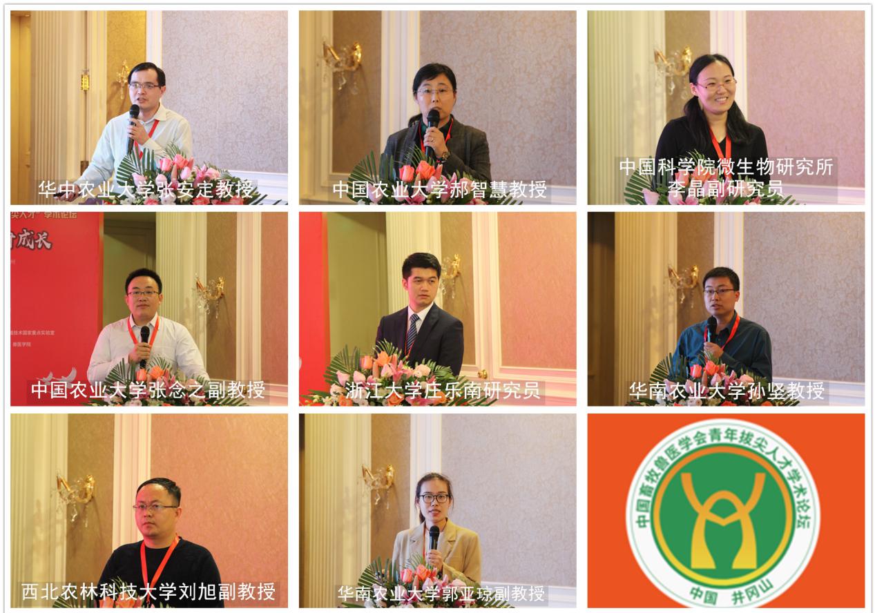 ca88手机客户端(安卓/苹果)CA88会员登录入口