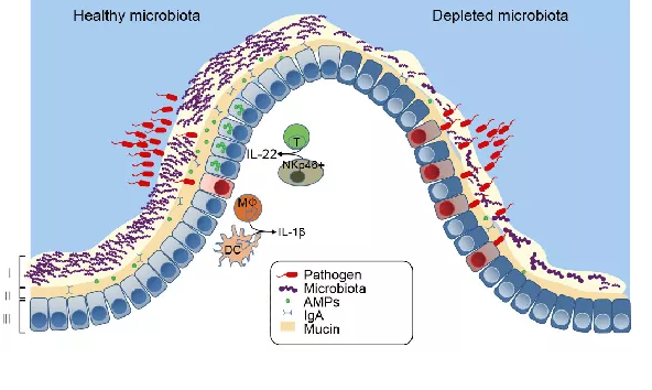 ca88手机客户端(安卓/苹果)CA88会员登录入口