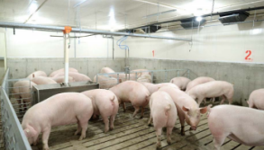 20200831200907_33885