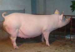 20200831202101_42020