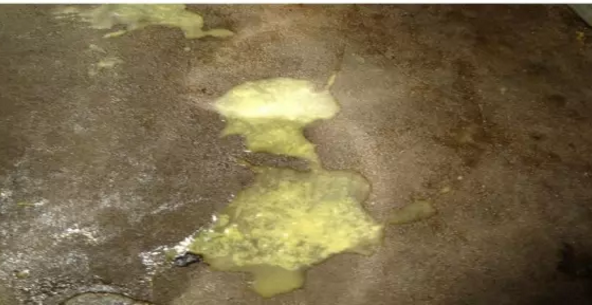 20200930142729_92349