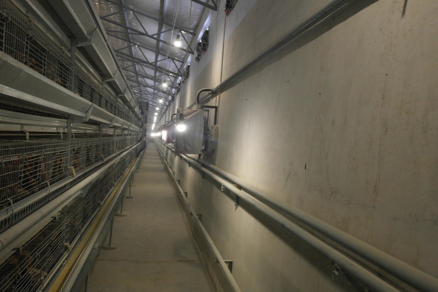 ca88手机客户端(安卓/苹果)CA88会员登录入口