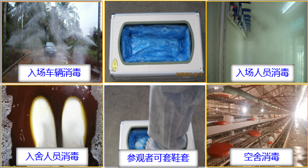 20201231120115_72006