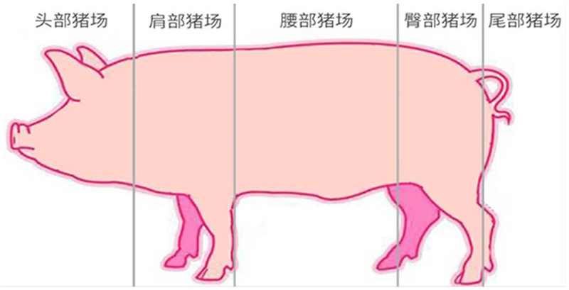 ca88手机客户端(安卓/苹果)CA88会员登录入口