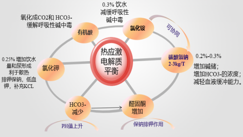 20210701015112_38641