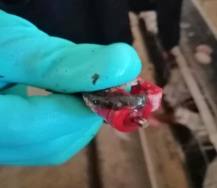 20220701112803_55309