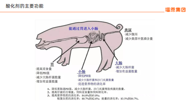 20220803004230_38368