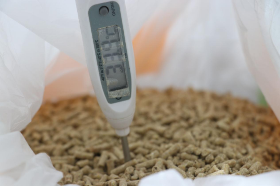 20220822173139_26270