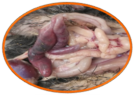 20220902163257_16305