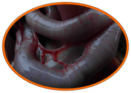 20220902163319_74760