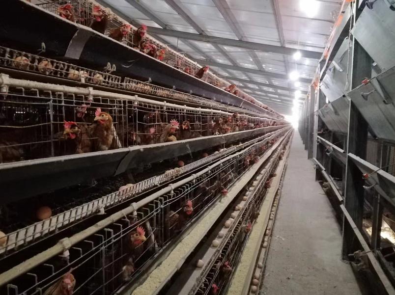 20220930160933_90730