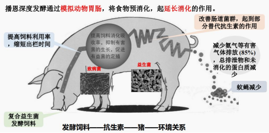 20221202154157_93741