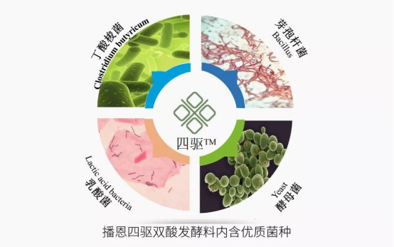 20221202154209_63735