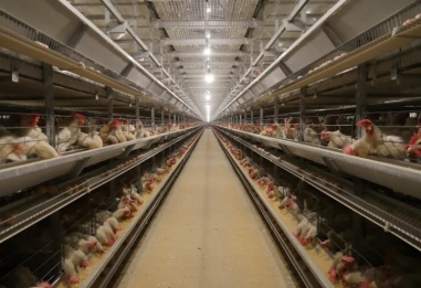 20230203013304_81699