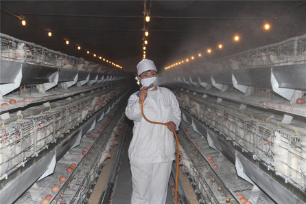 20230203013316_28748