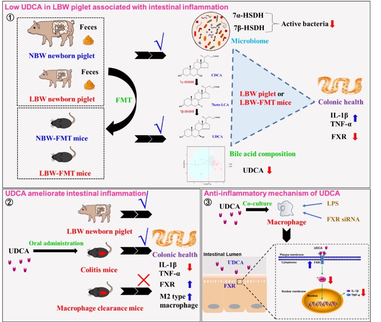 20230211103616_55500