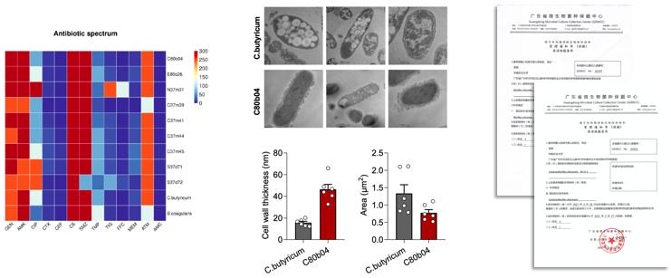 20230211141412_67859