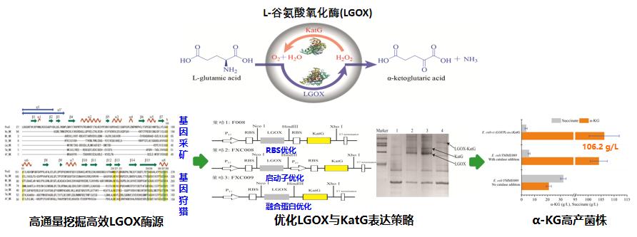 20230211141423_81848