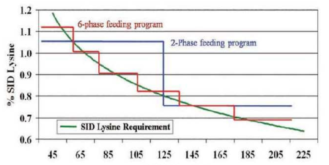 ca88手机客户端(安卓/苹果)CA88会员登录入口