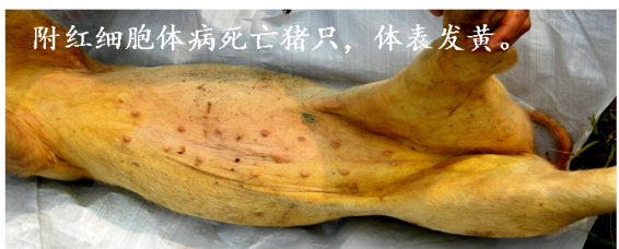 20230630222253_56287