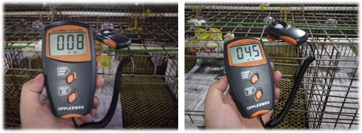 20231202113209_81739