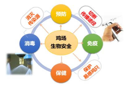 20240201113341_58768