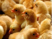 20240301173208_96973