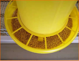 20240301173257_98691