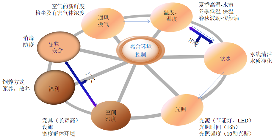 20240401145147_53131