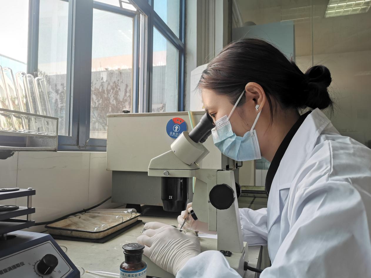 20240401150251_89107