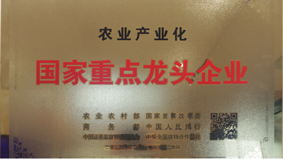 20240702174532_48449