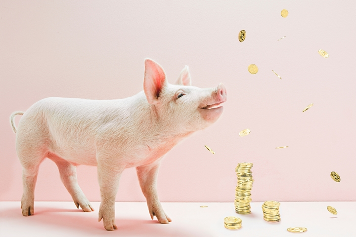 ca88手机客户端(安卓/苹果)CA88会员登录入口