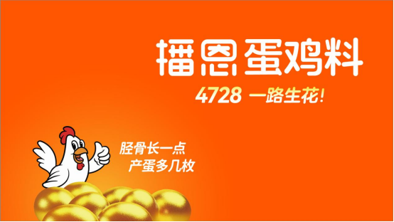 20241130185302_75993