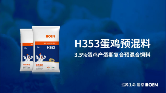 20241130185338_16460