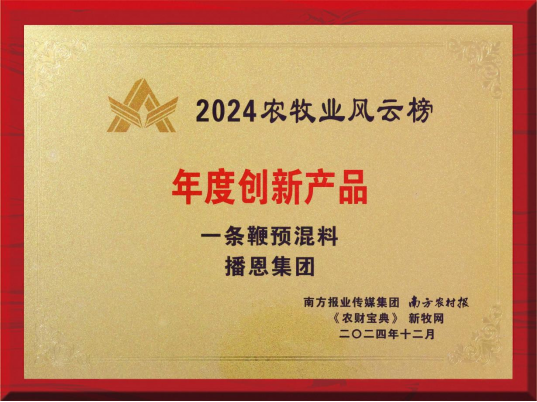 20241231113909_46631