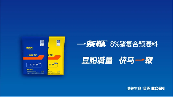 20241231113933_78230