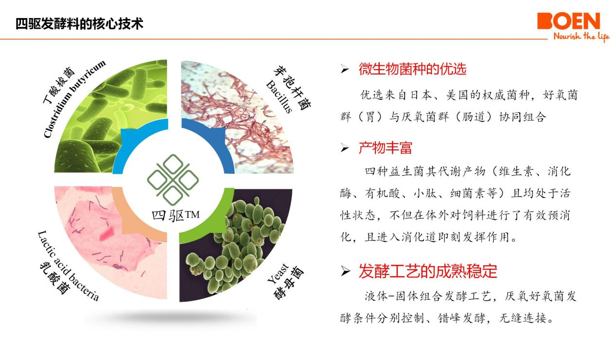 20250301144857_69165