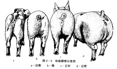 20250401111204_84697