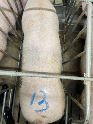 20250401111547_14769