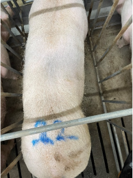 20250401111556_96629