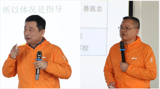 20250401113129_73325