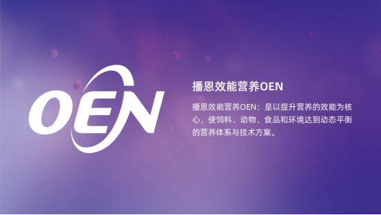 20250901161401_32595